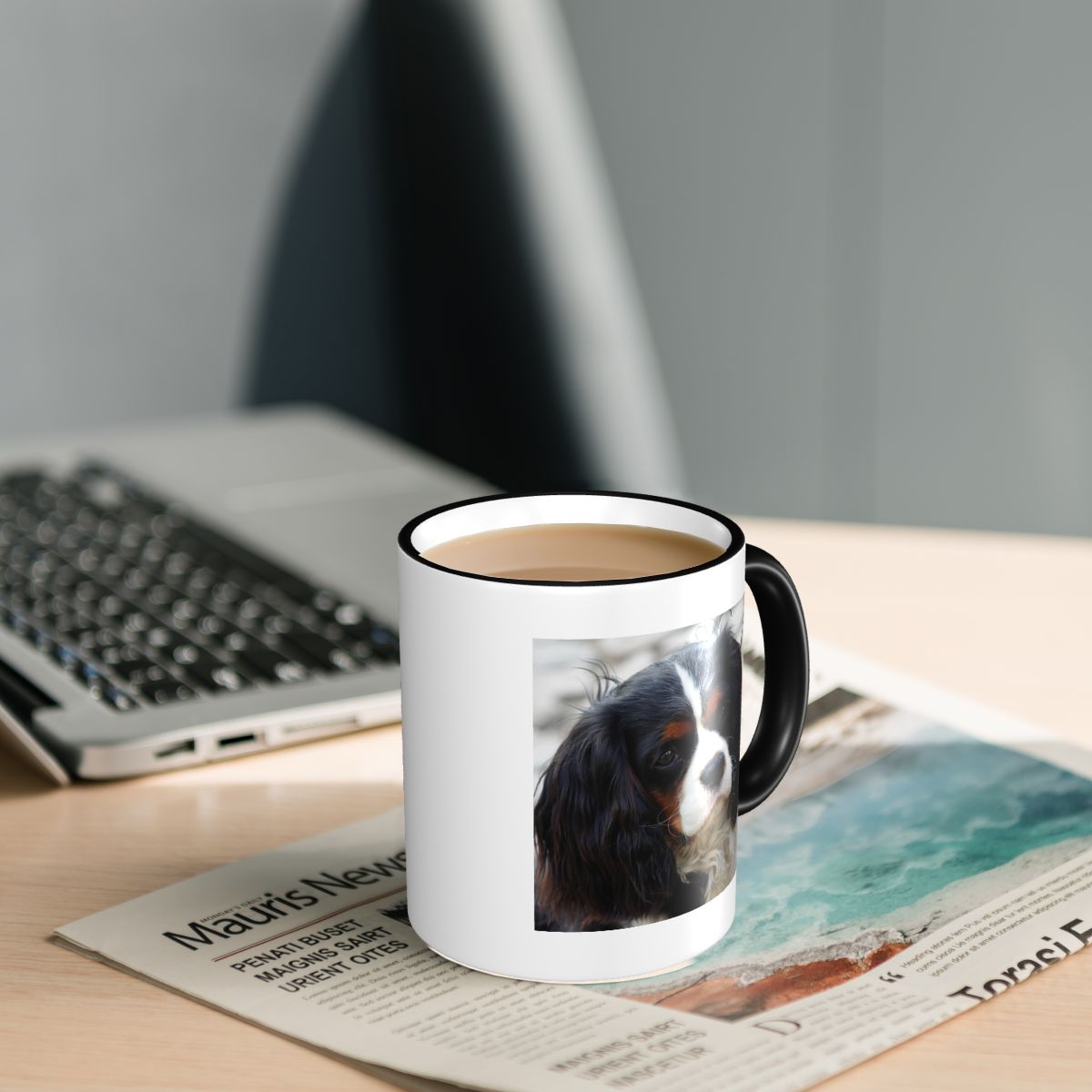 Tri Color Cavalier King Charle - огляд і ціна Coffee Tea Photos